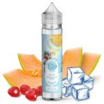 Melon Fraise des Bois