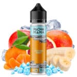 Citrus Monkey