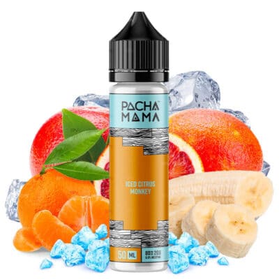 Citrus Monkey