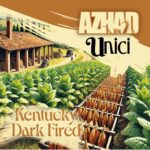e-liquide-azhad-unici-kentucky-dark-fired-longfill-60ml
