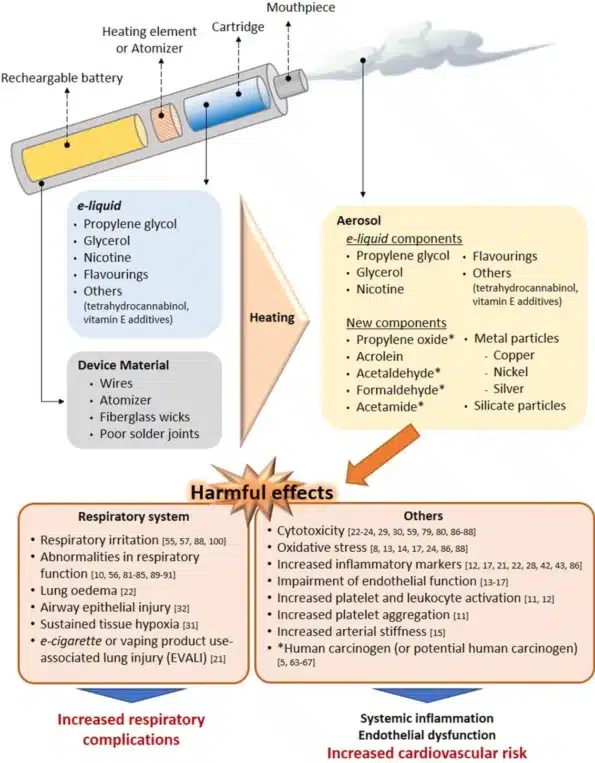 Cigarette electronique : Guide pour bien débuter en 2025 2 Comparaison du degré des effets nocifs documentés entre la consommation de cigarette électronique et celle de cigarette traditionnelle. Des études humaines, des expositions in vivo chez la souris ainsi que des études in vitro ont toutes montré que les effets nocifs des cigarettes électroniques sont moindres que ceux des cigarettes classiques. Cela pourrait suggérer que la cigarette électronique représente une option potentiellement moins dangereuse que le tabac traditionnel, bien qu’elle ne constitue pas pour autant un choix totalement sans risque.